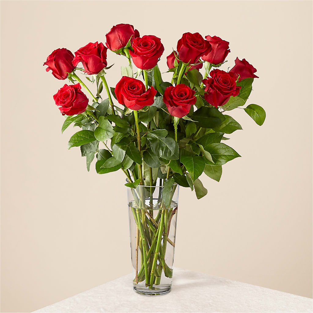 Long Stem Red Rose Bouquet – GIVENS FLOWERS & GIFTS LLC, Georgetown DE
