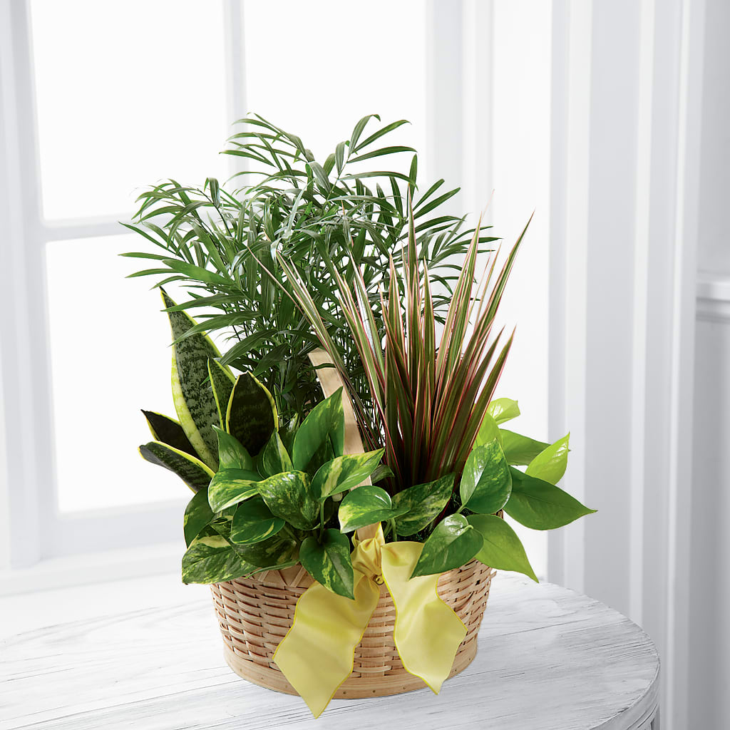 French Garden – GIVENS FLOWERS & GIFTS LLC, Georgetown DE