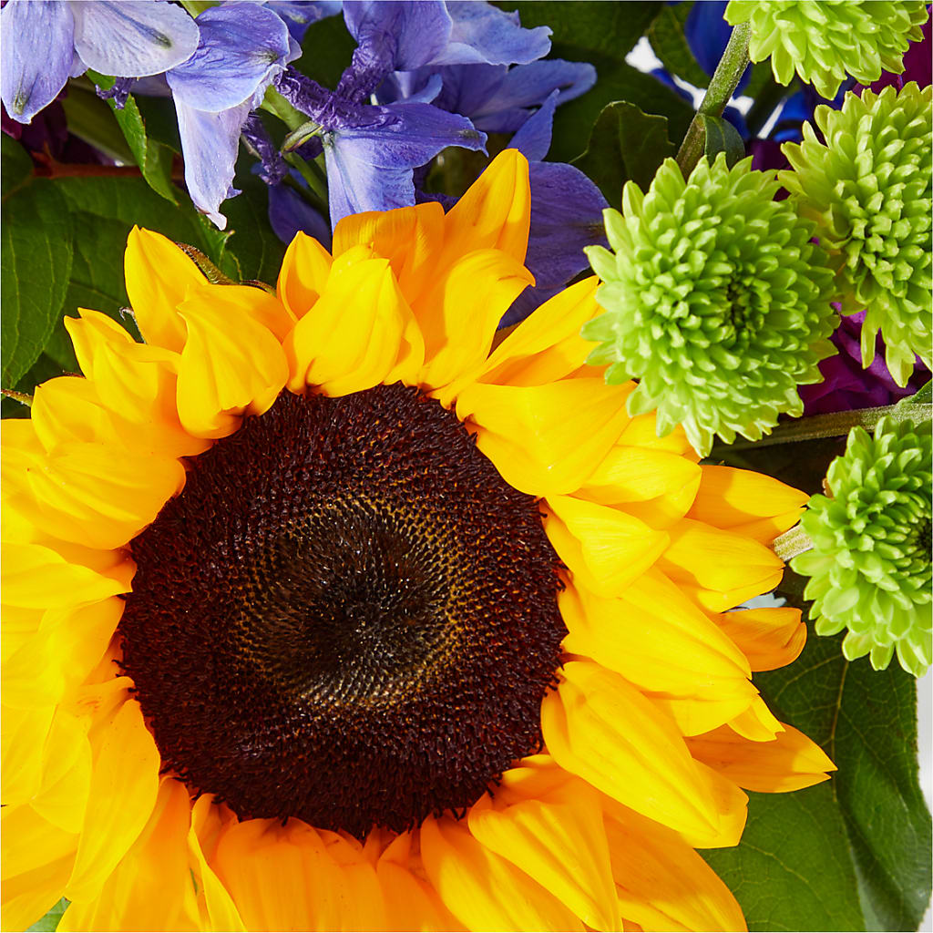 Catching Rays Bouquet – GIVENS FLOWERS & GIFTS LLC, Georgetown DE