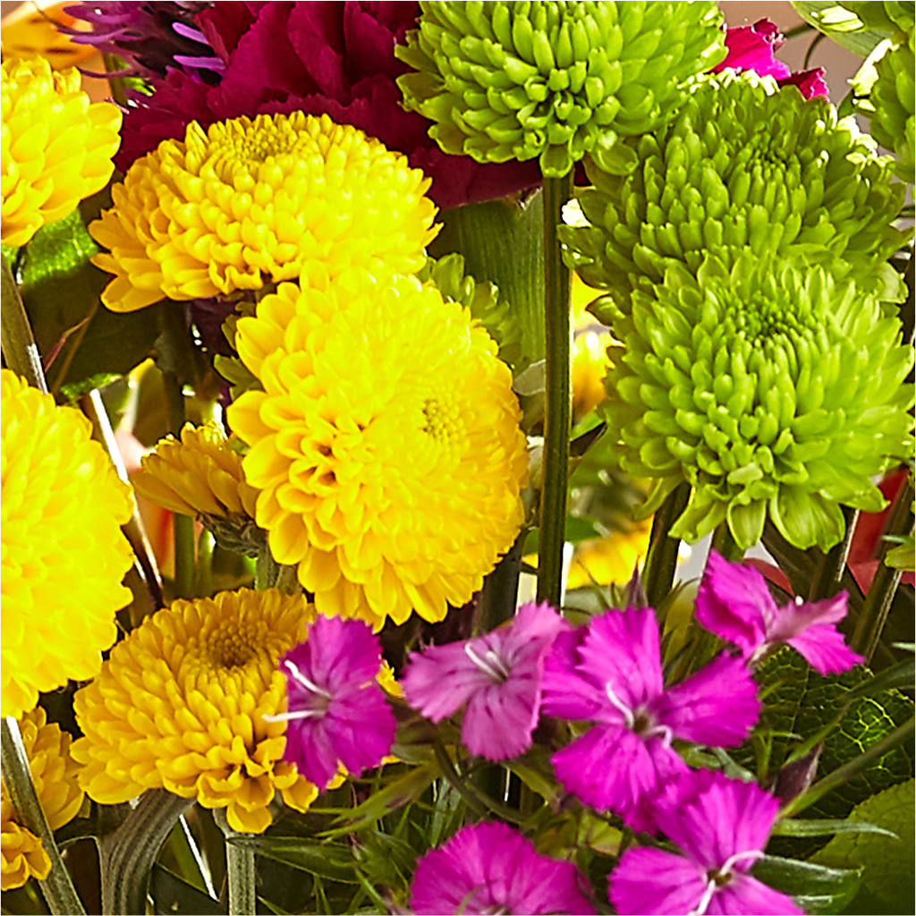 Bold & Bright – A Florist Original – GIVENS FLOWERS & GIFTS LLC, Georgetown DE