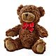 Adorable Plush Bear – GIVENS FLOWERS & GIFTS LLC, Georgetown DE