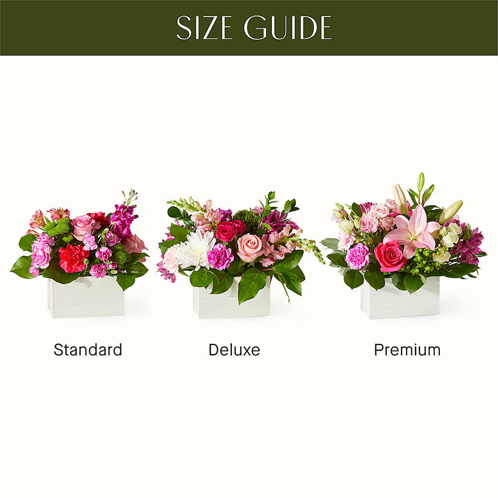 Sweetberry Box – A Florist Original – GIVENS FLOWERS & GIFTS LLC, Georgetown DE
