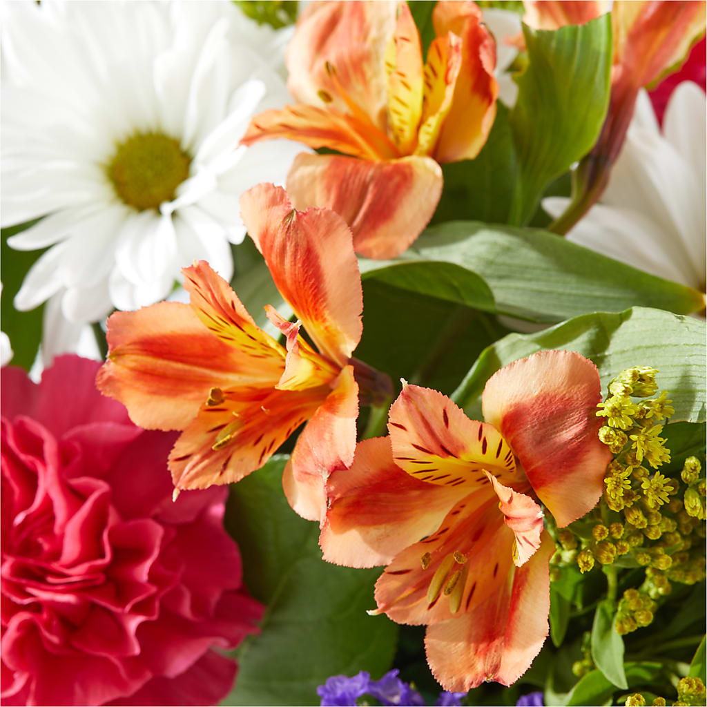 Oopsie Daisy Box Bouquet – GIVENS FLOWERS & GIFTS LLC, Georgetown DE
