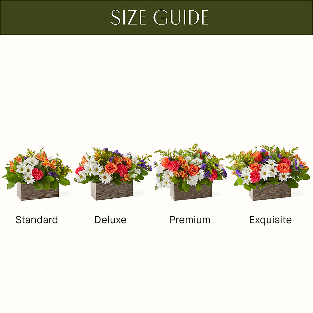 Oopsie Daisy Box Bouquet – GIVENS FLOWERS & GIFTS LLC, Georgetown DE