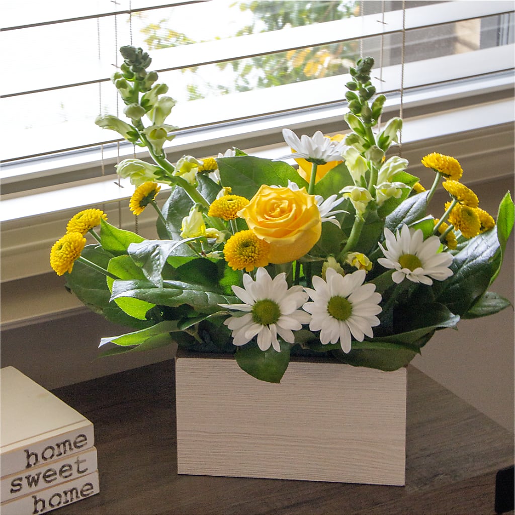 Sun Salutation Box Bouquet – GIVENS FLOWERS & GIFTS LLC, Georgetown DE