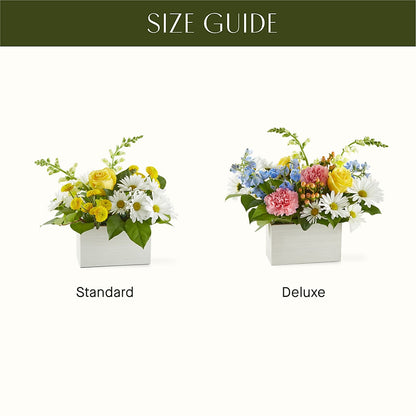 Sun Salutation Box Bouquet – GIVENS FLOWERS & GIFTS LLC, Georgetown DE