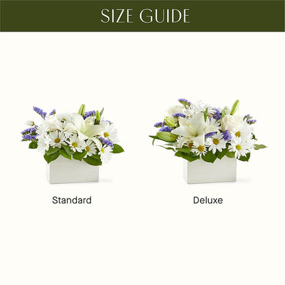 Beyond Blue Box Bouquet – GIVENS FLOWERS & GIFTS LLC, Georgetown DE