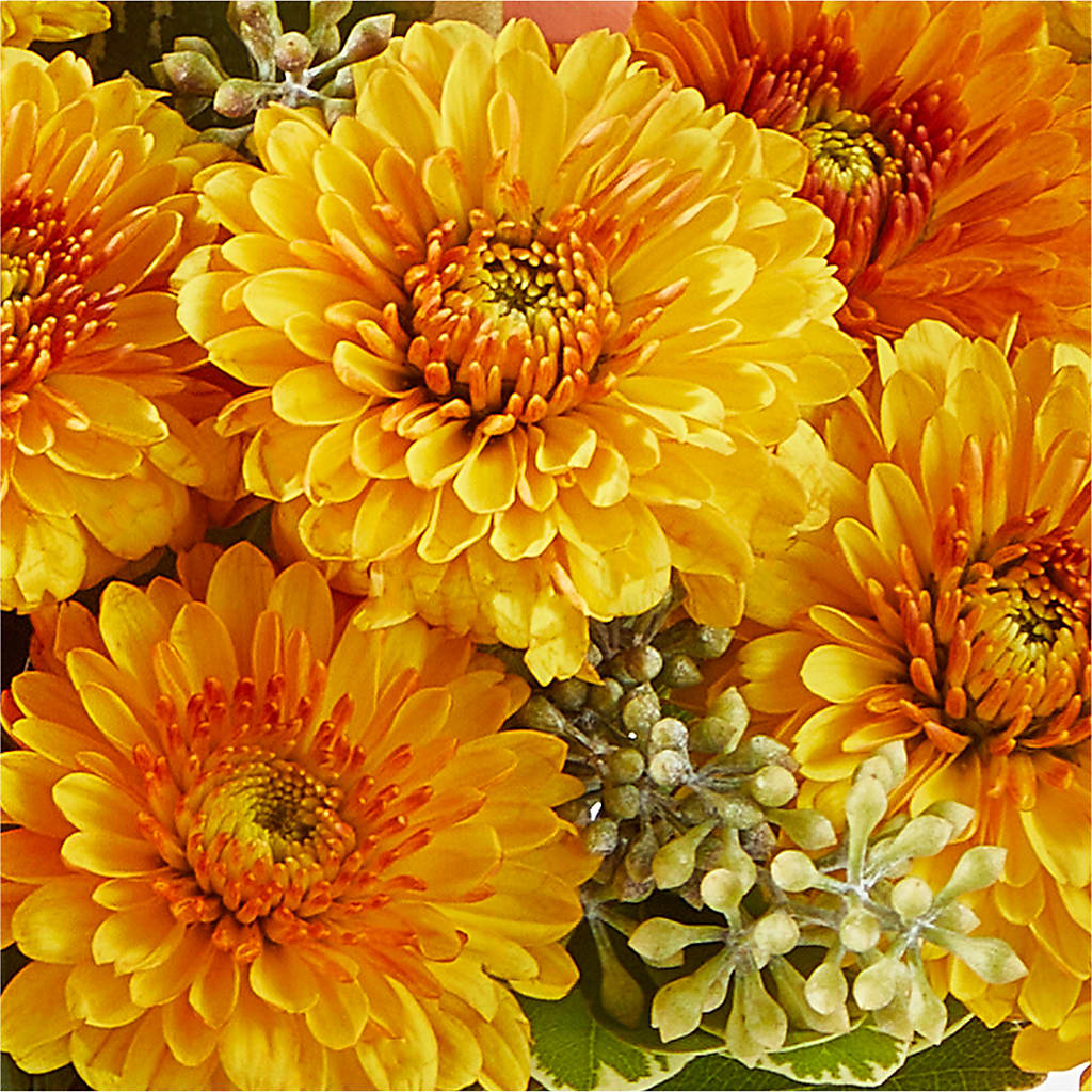 Peachy Pumpkin – GIVENS FLOWERS & GIFTS LLC, Georgetown DE