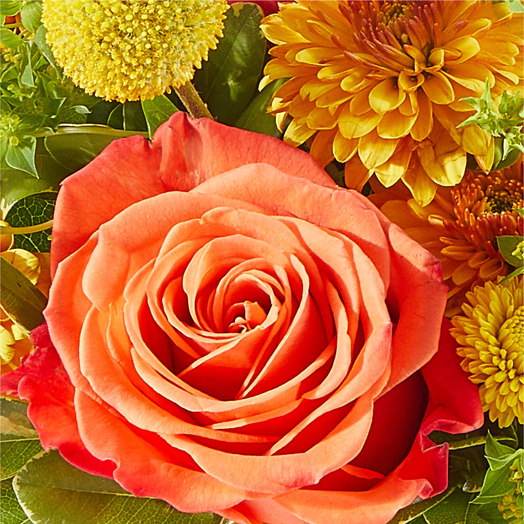 Gourdgeous Pumpkin – GIVENS FLOWERS & GIFTS LLC, Georgetown DE