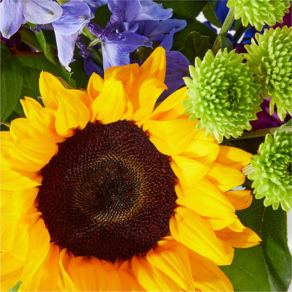 Catching Rays Bouquet – GIVENS FLOWERS & GIFTS LLC, Georgetown DE
