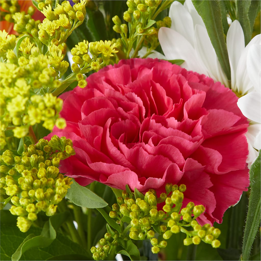 Oopsie Daisy Bouquet – GIVENS FLOWERS & GIFTS LLC, Georgetown DE