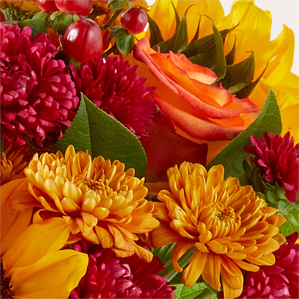 Sweater Season - A Florist Original – GIVENS FLOWERS & GIFTS LLC, Georgetown DE