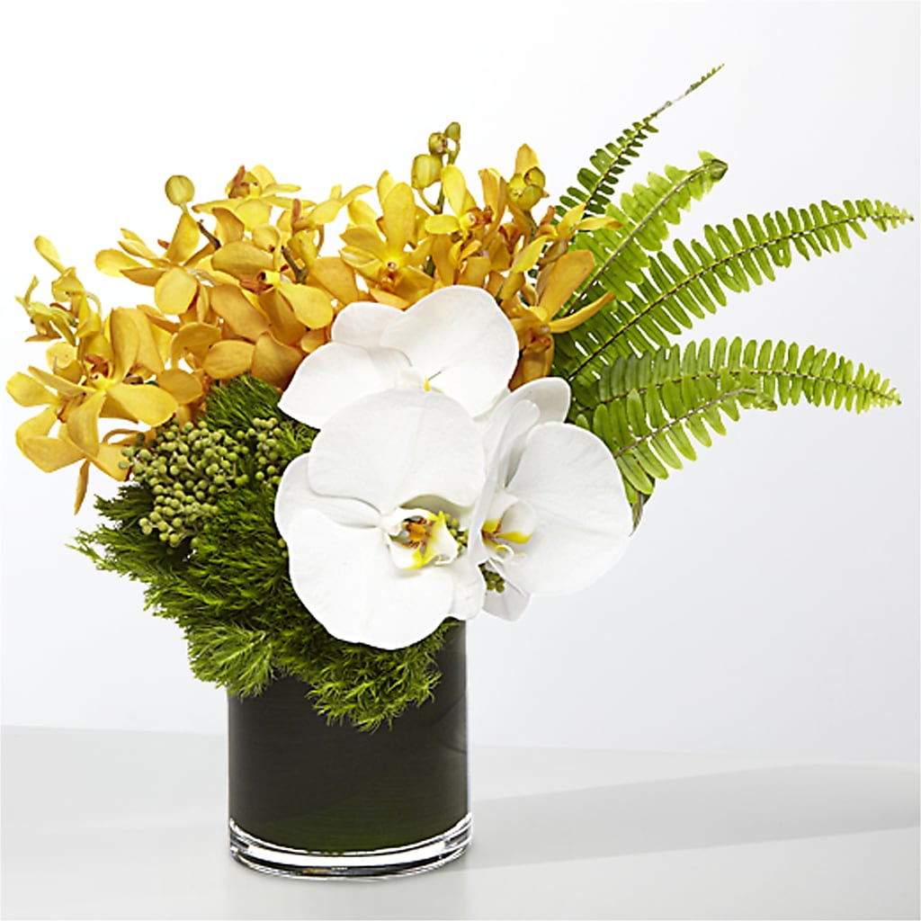 The Tropics – GIVENS FLOWERS & GIFTS LLC, Georgetown DE