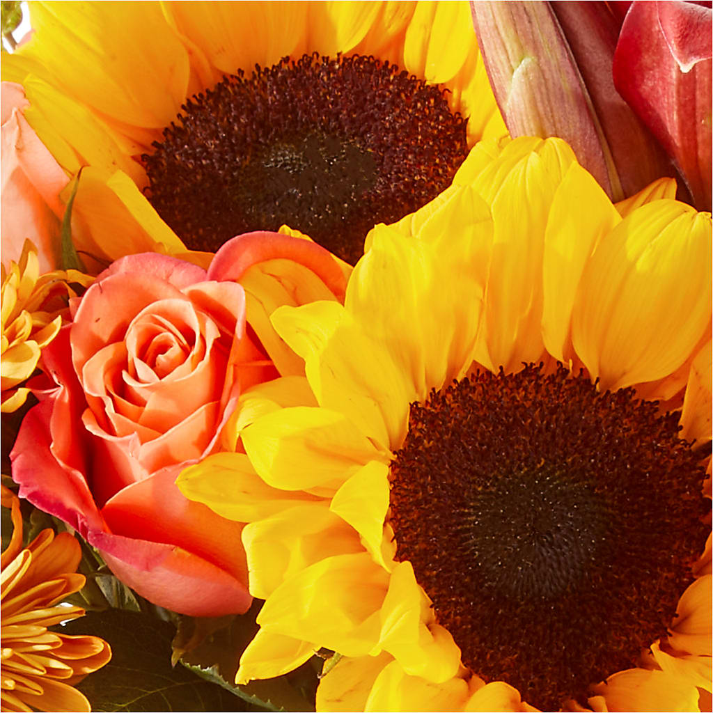 Acorn Lane Bouquet – GIVENS FLOWERS & GIFTS LLC, Georgetown DE
