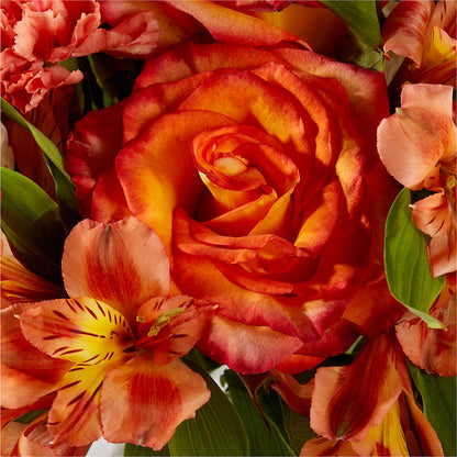 Apricot Glow Bouquet – GIVENS FLOWERS & GIFTS LLC, Georgetown DE