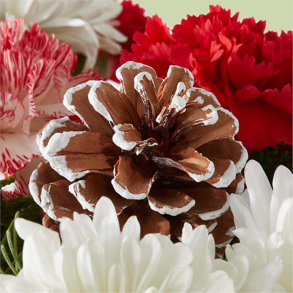 Candy Cane Lane Bouquet – GIVENS FLOWERS & GIFTS LLC, Georgetown DE