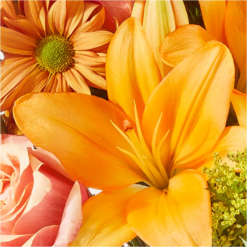 Harvest Hayride Bouquet – GIVENS FLOWERS & GIFTS LLC, Georgetown DE