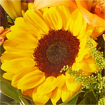 Seasons Change Bouquet – GIVENS FLOWERS & GIFTS LLC, Georgetown DE