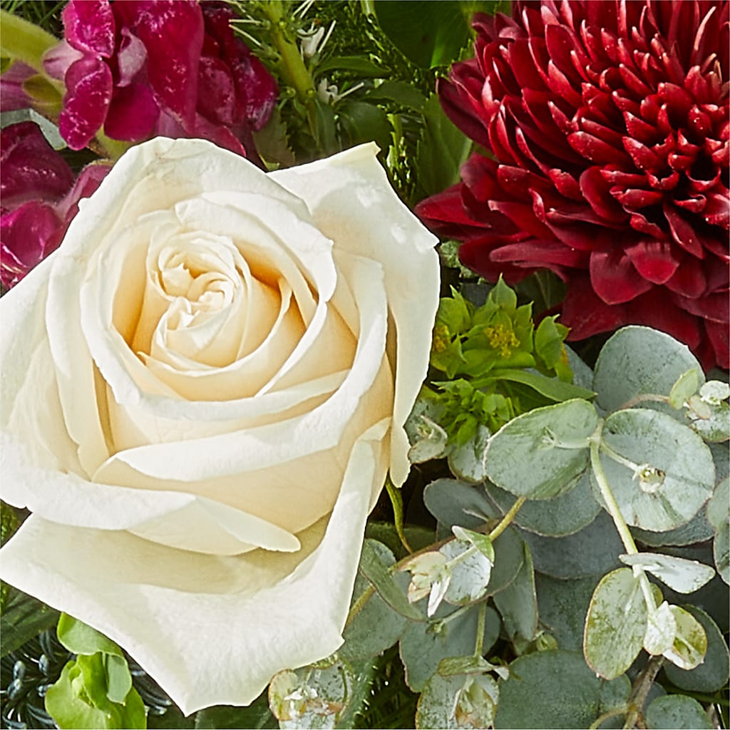 Cranberry Fizz Bouquet – GIVENS FLOWERS & GIFTS LLC, Georgetown DE