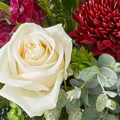 Cranberry Fizz Bouquet – GIVENS FLOWERS & GIFTS LLC, Georgetown DE