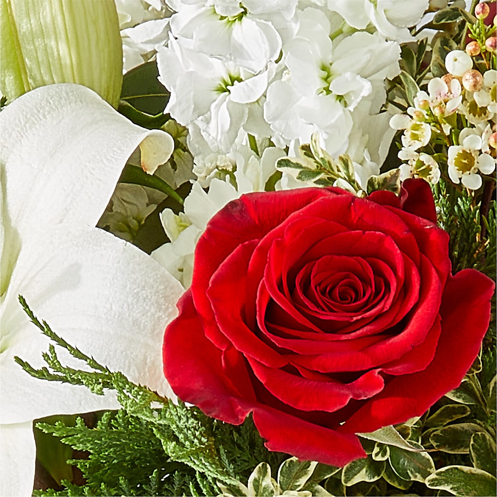 Twinkle Lights Bouquet – GIVENS FLOWERS & GIFTS LLC, Georgetown DE