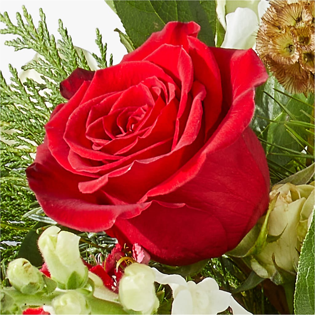 Deck the Halls Bouquet – GIVENS FLOWERS & GIFTS LLC, Georgetown DE