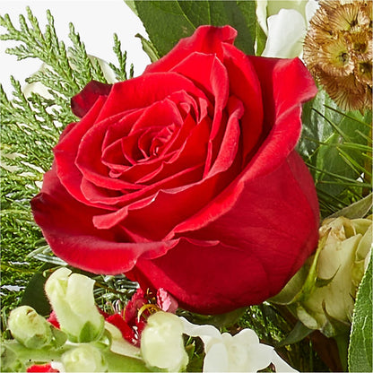 Deck the Halls Bouquet – GIVENS FLOWERS & GIFTS LLC, Georgetown DE