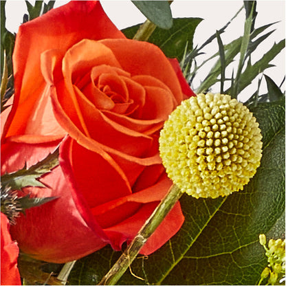 Disco Bouquet – GIVENS FLOWERS & GIFTS LLC, Georgetown DE