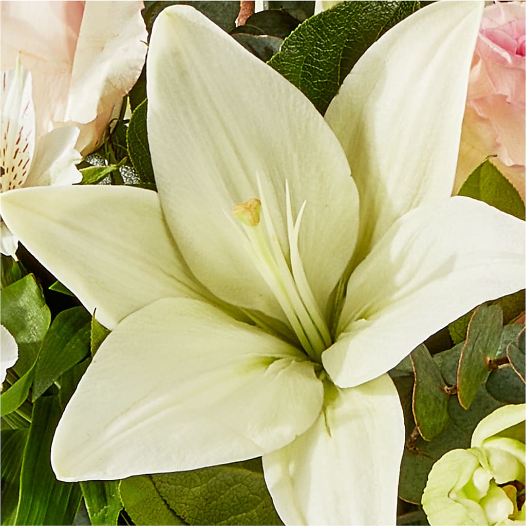 Ballet Slippers Bouquet – GIVENS FLOWERS & GIFTS LLC, Georgetown DE
