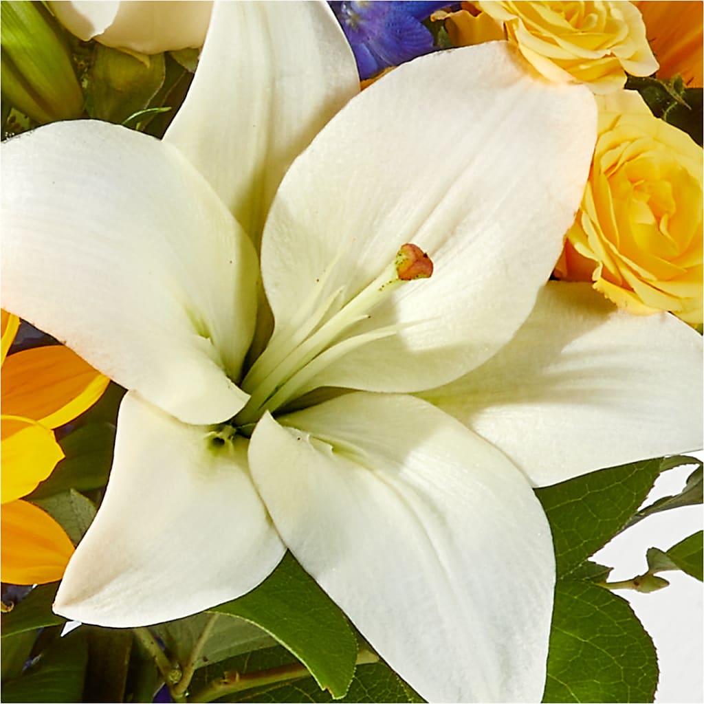 Wonderfully Sunny Bouquet – GIVENS FLOWERS & GIFTS LLC, Georgetown DE