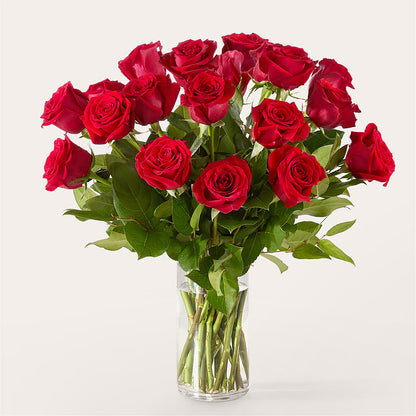 The One Red Rose Bouquet – GIVENS FLOWERS & GIFTS LLC, Georgetown DE