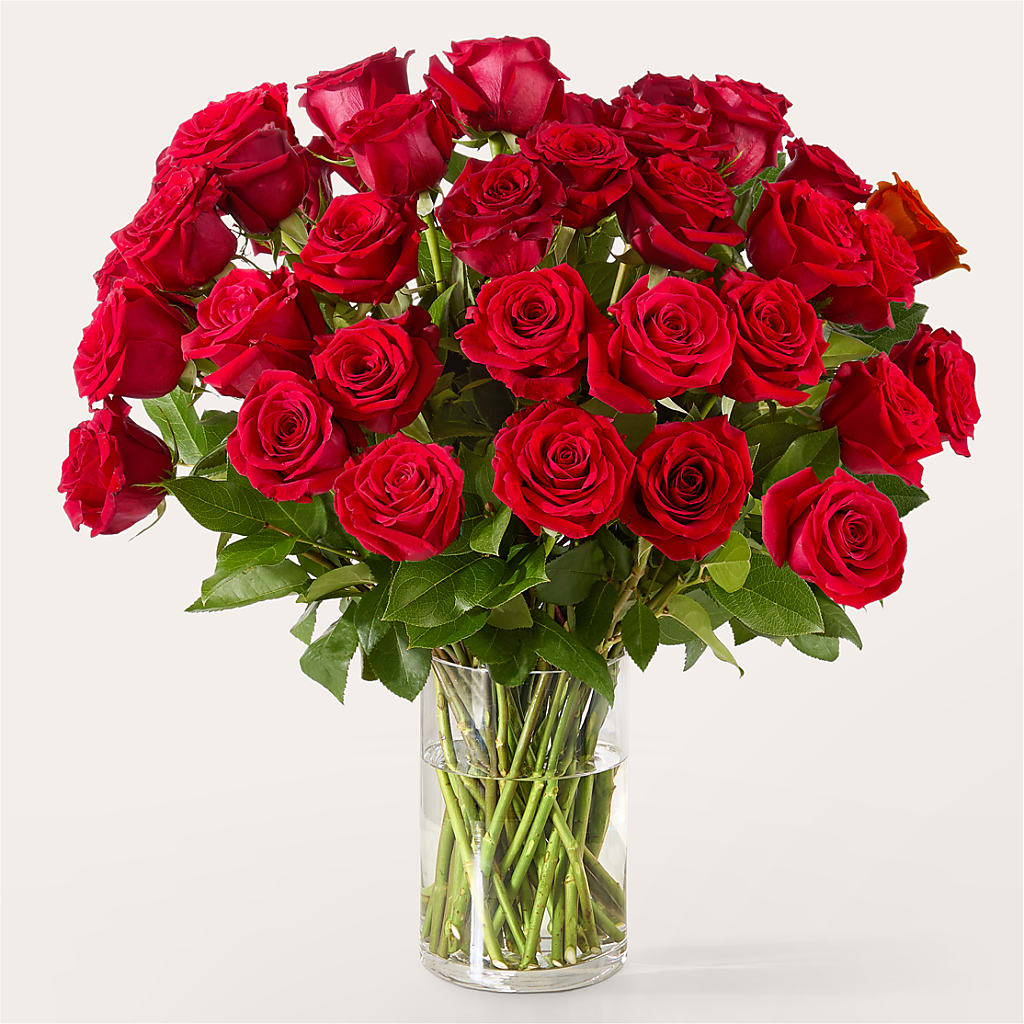 The One Red Rose Bouquet – GIVENS FLOWERS & GIFTS LLC, Georgetown DE