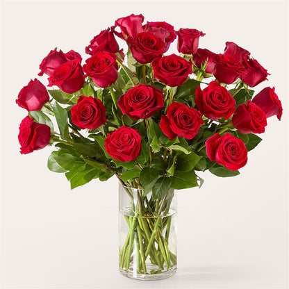 The One Red Rose Bouquet – GIVENS FLOWERS & GIFTS LLC, Georgetown DE