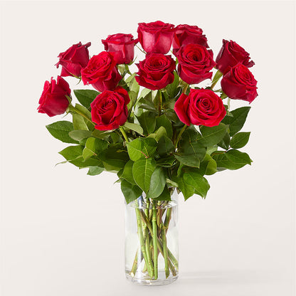 The One Red Rose Bouquet – GIVENS FLOWERS & GIFTS LLC, Georgetown DE