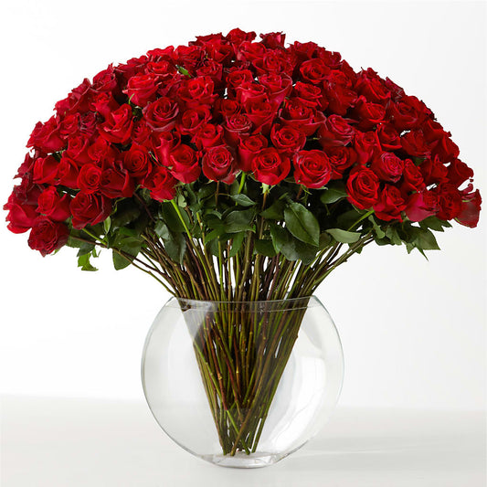 The Idealist – GIVENS FLOWERS & GIFTS LLC, Georgetown DE